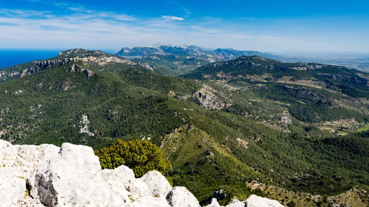 Puig de Galatzó