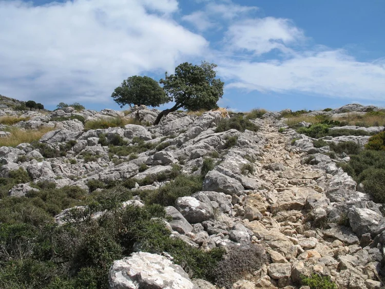 Camí de s’Arxiduc