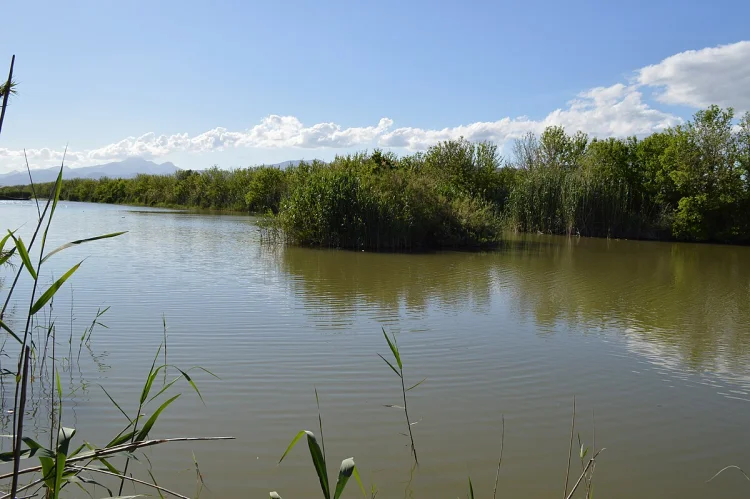 Parc Natural de s’Albufera de Mallorca