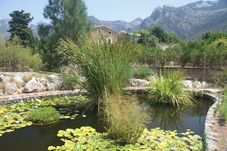 Jardí Botànic de Sóller