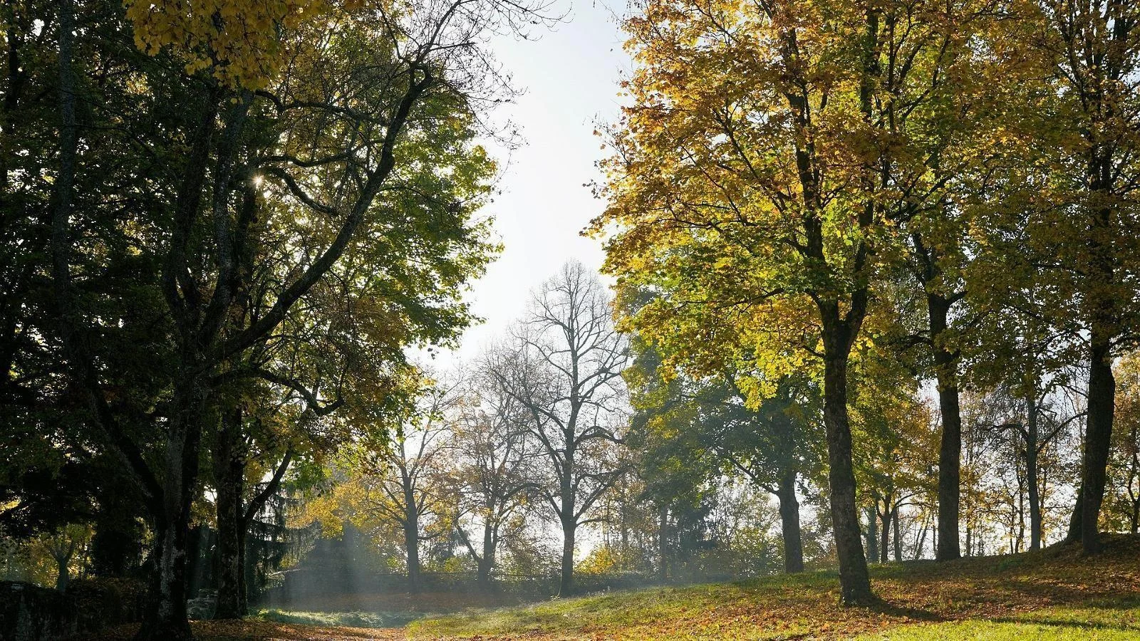 Rakvere Tammik ja õpperada
