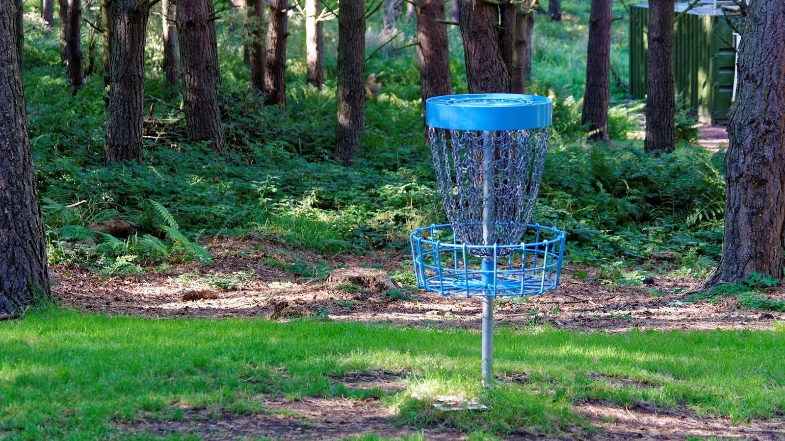 Tapa Männikumäe disc-golfi park