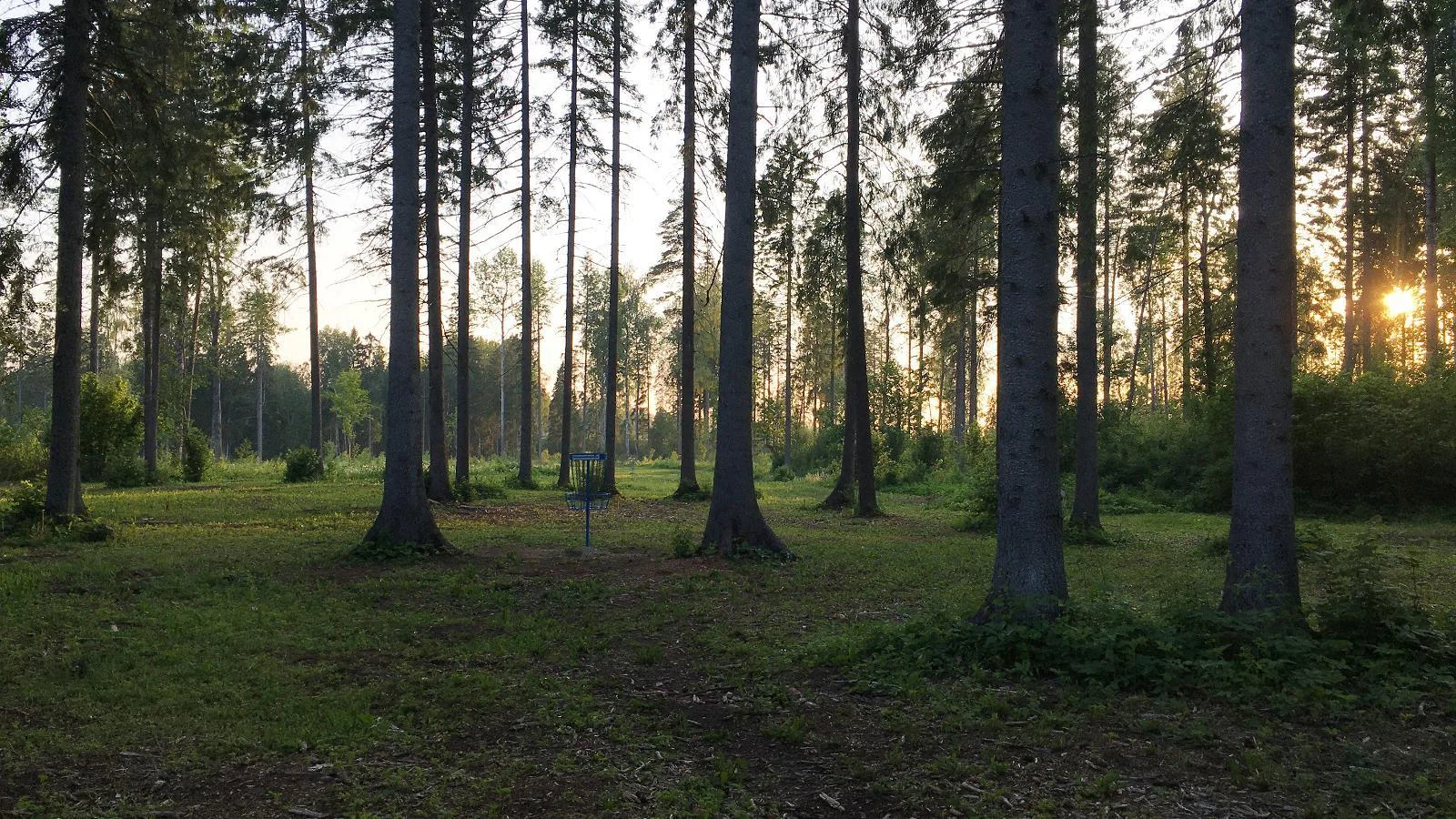 Tamsalu discgolfi park
