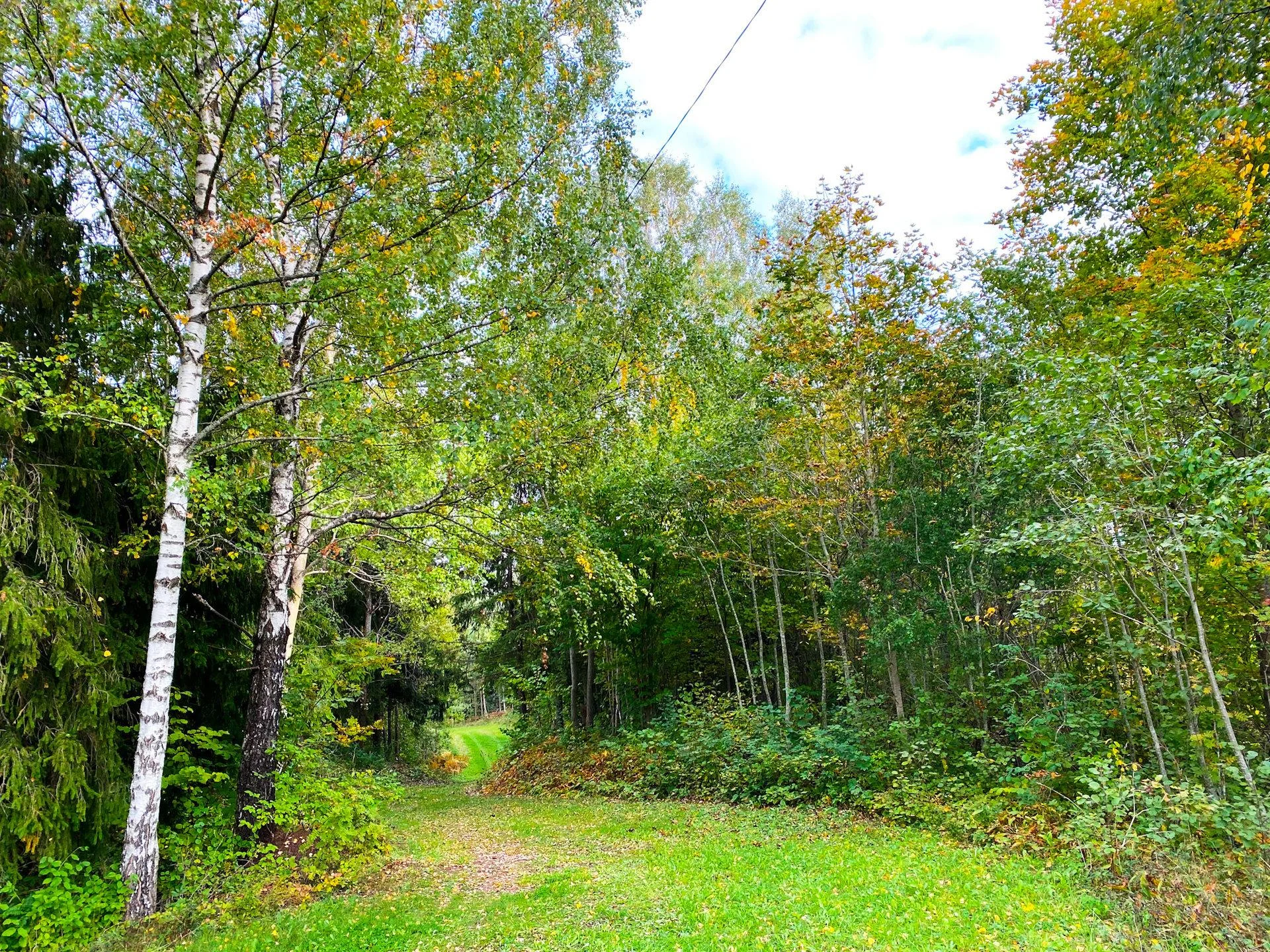 Tapa Männikumäe tervise- ja suusarajad