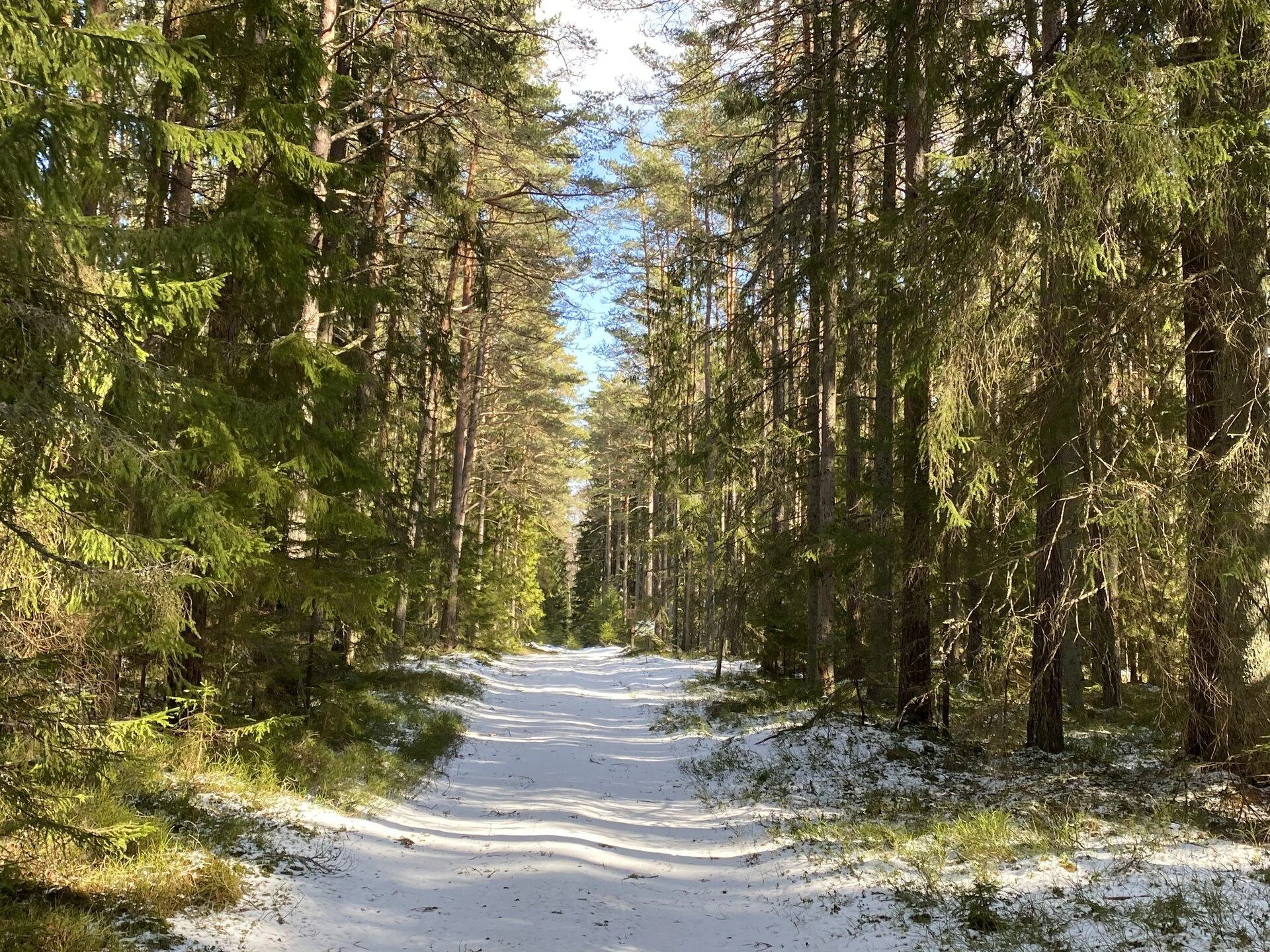 Ojakivi rada