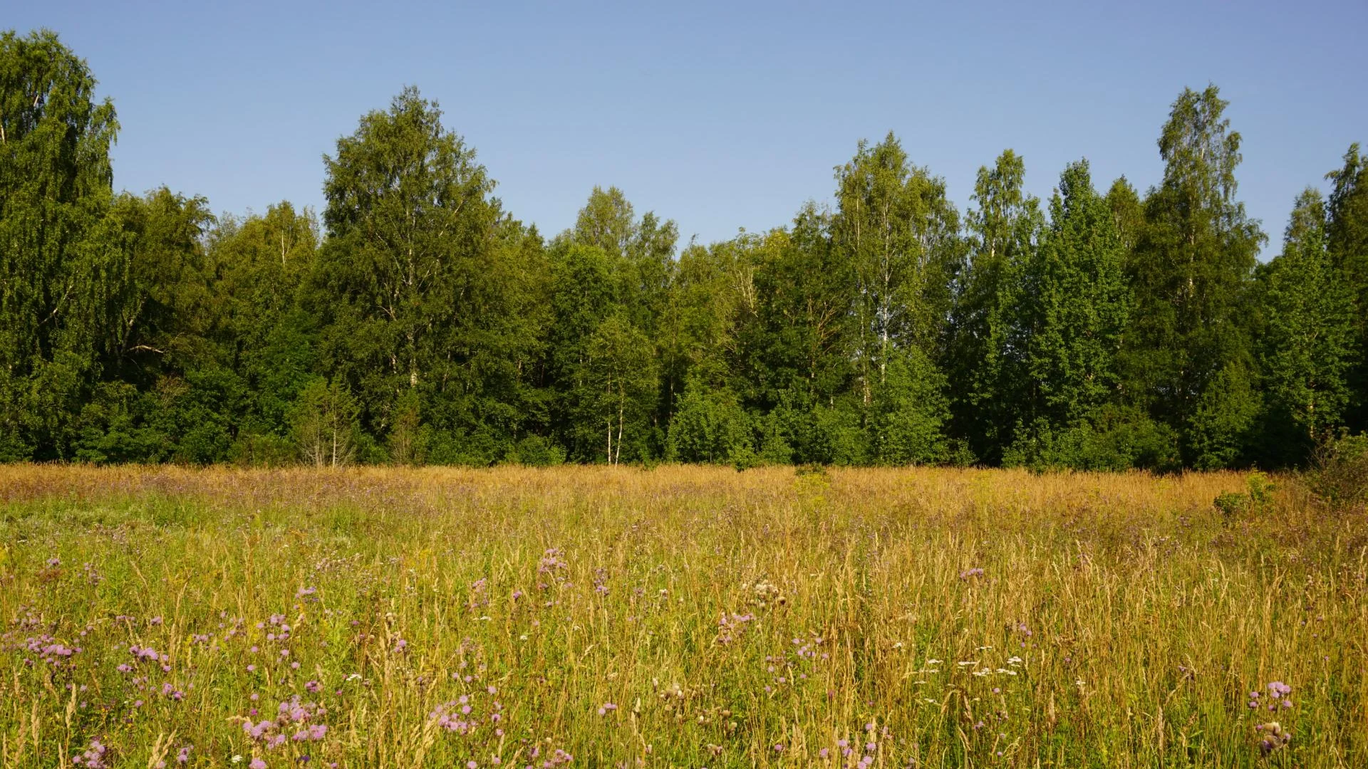 Niiduveere õpipaik