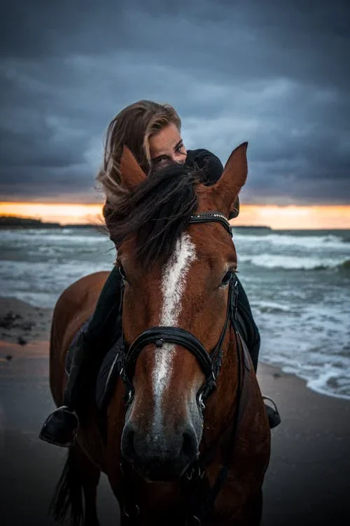 Santorini Lover Horse Rider