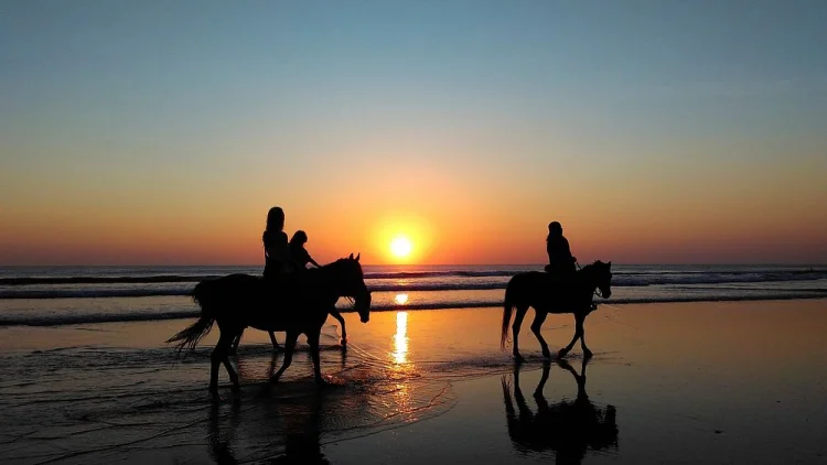Maris Horseriding