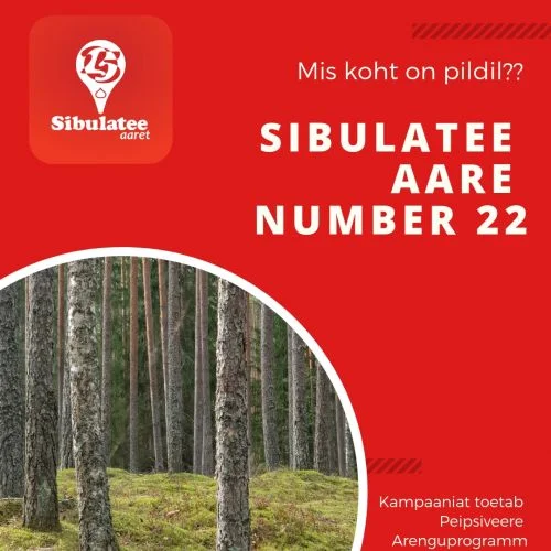 Välgi metsad