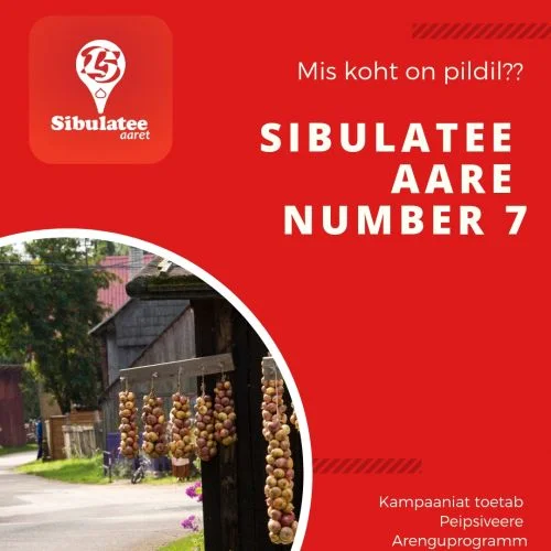 Sibula tänav