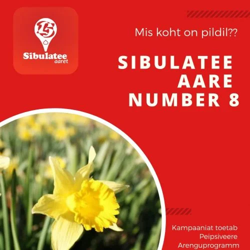 Kollase nartsissi kasvukoht