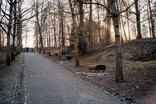 16. Põhjala Heidelberg ja ööbikud Toomel