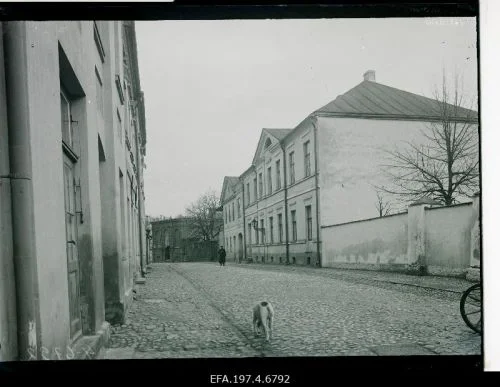 21. Lugu vahimajakesega