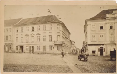 7. Puudliputka