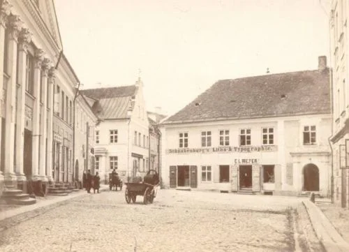 8. Hobune pudupoes