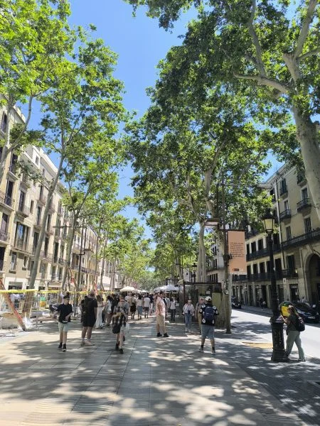 Rambla