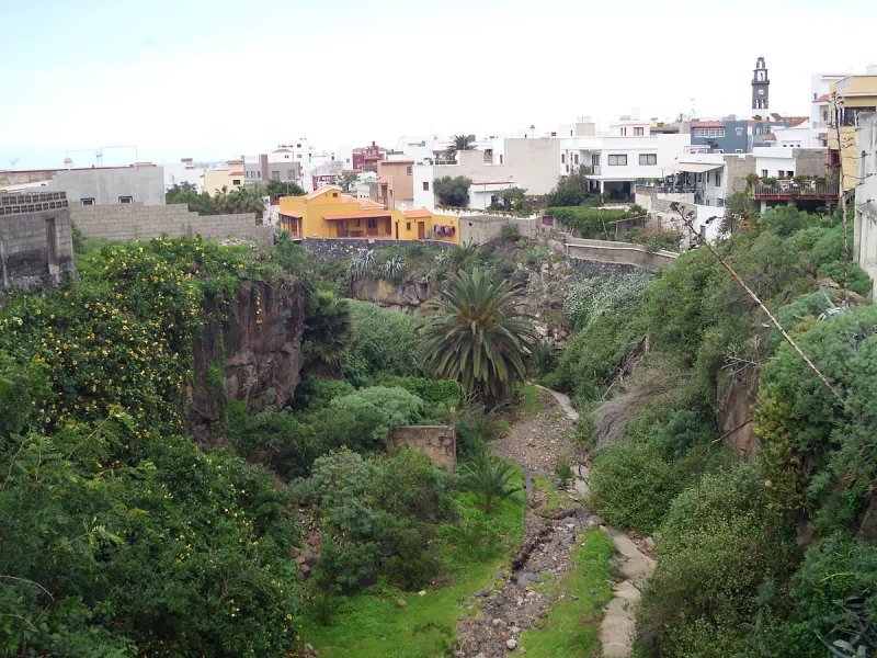 Buenavista del Norte