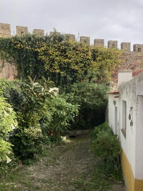 Green inside the walls