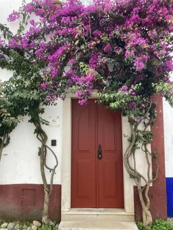 Red door with bougainvillea