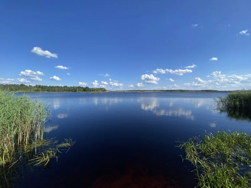 Урочище "Кобила"