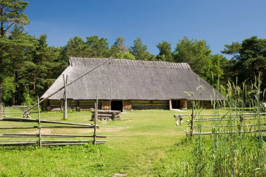 Sassijaani rehemaja