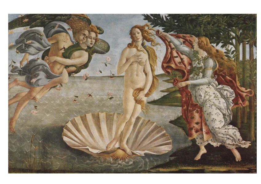 Shells and Art – A Timeless Inspiration