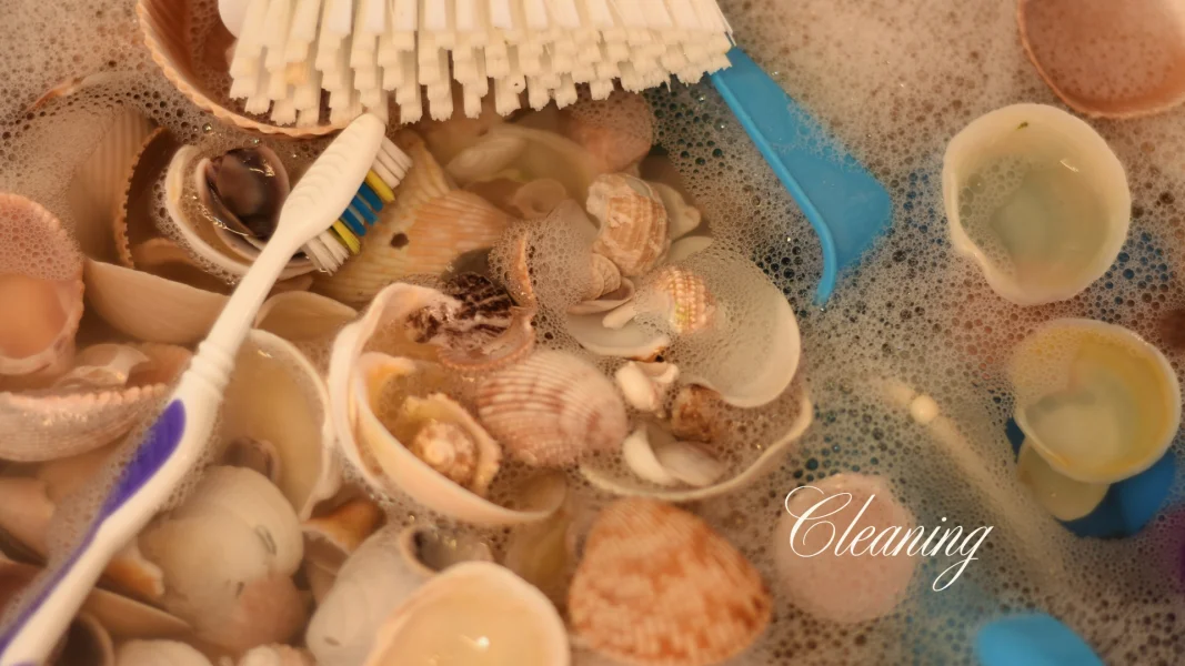 quick tutorial on cleaning a shell