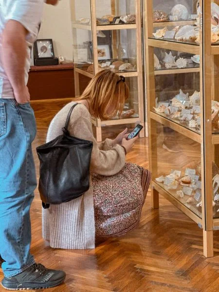 Museum Visitor Tips & FAQs