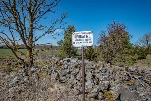 Paju kivikalme