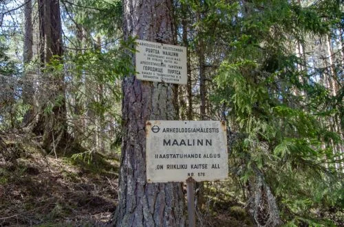 Purtsa maalinn