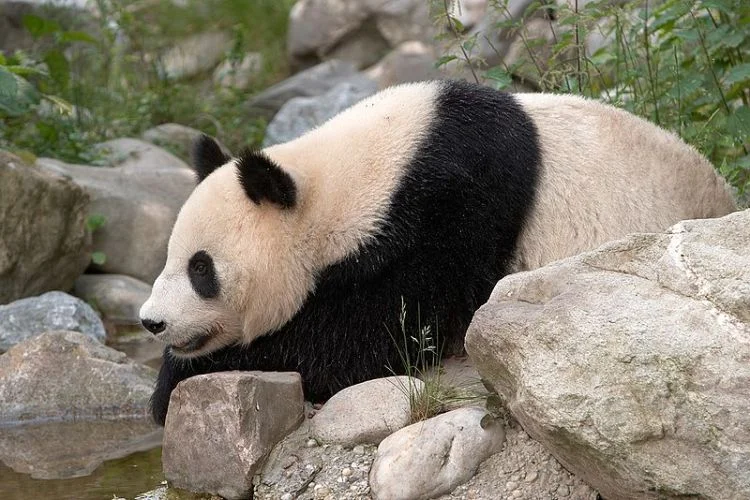 Zoo Austria