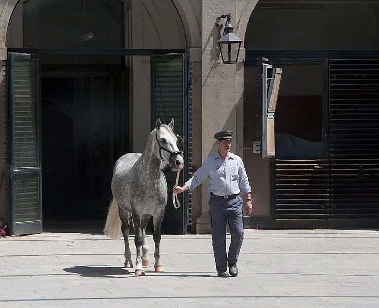 Spanish Riding School