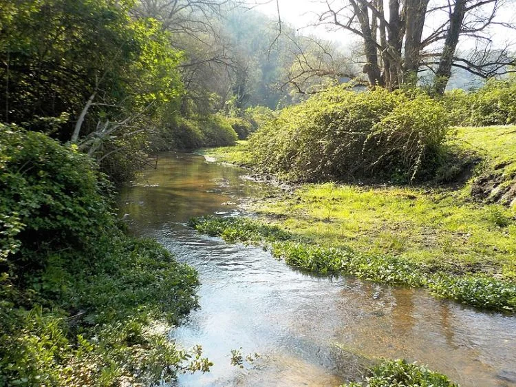 Cremera Stream