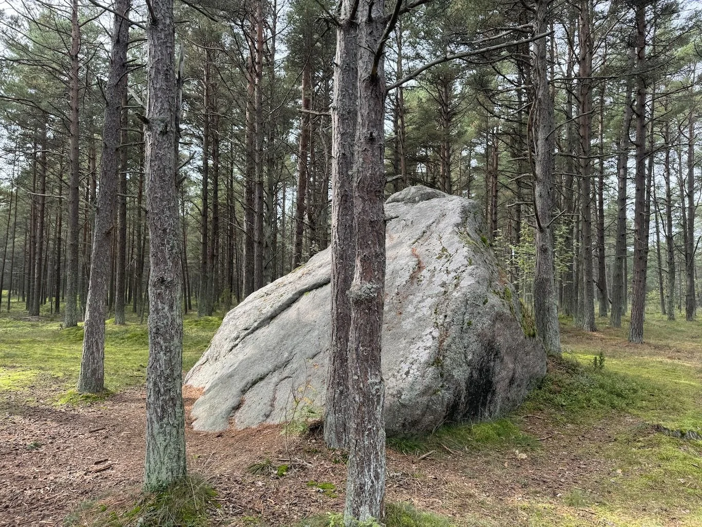 Kotkakivi