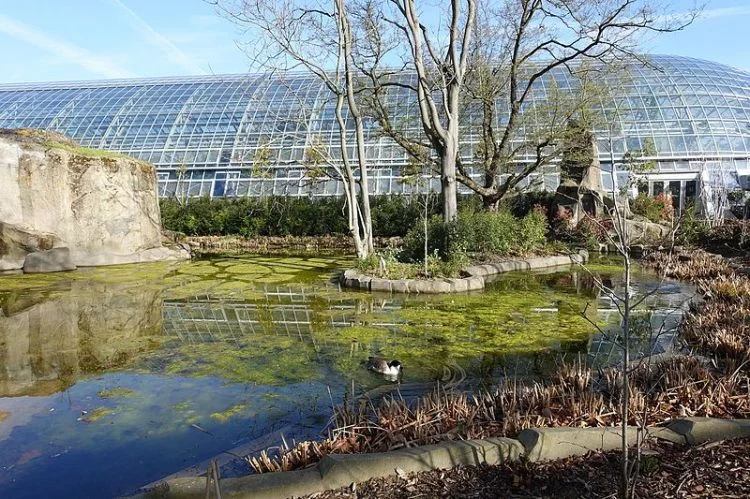 Paris Zoo