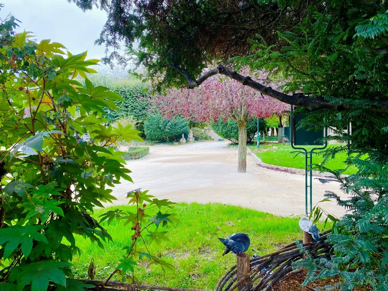 Square René Viviani