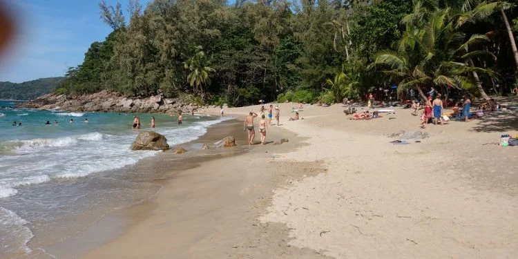 Beach Banana