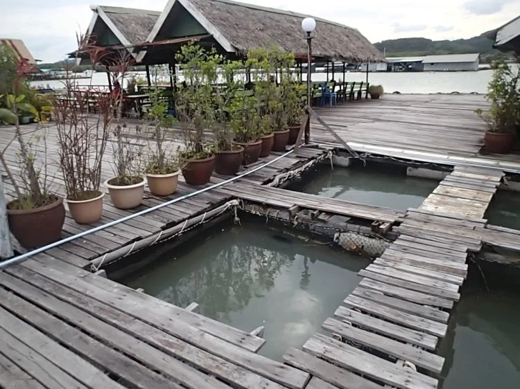 Restaurants floating on the rafts