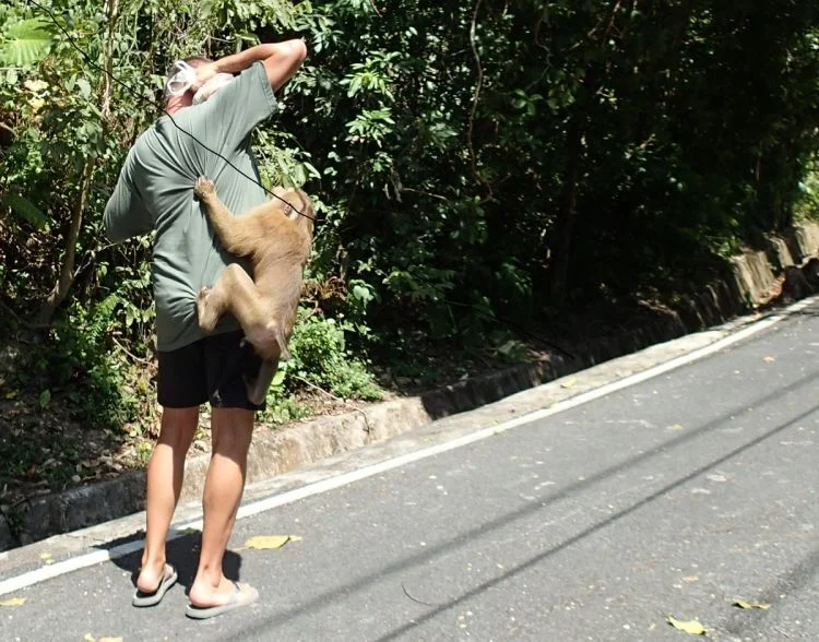 Monkey Hill Phuket