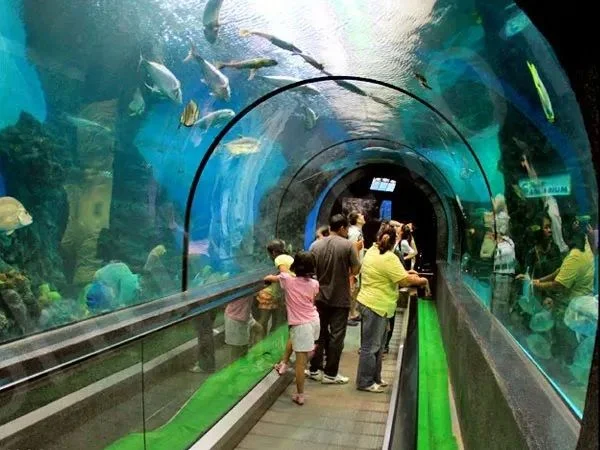 Phuket Aquarium