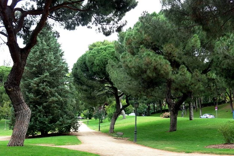 Western Park