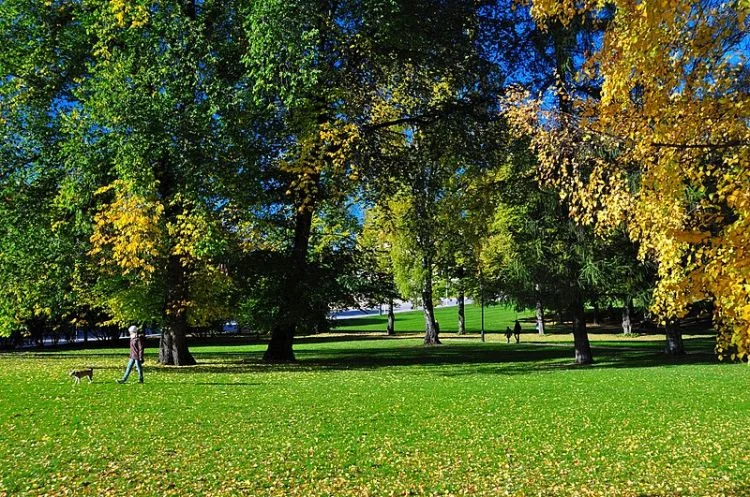 Palace Park